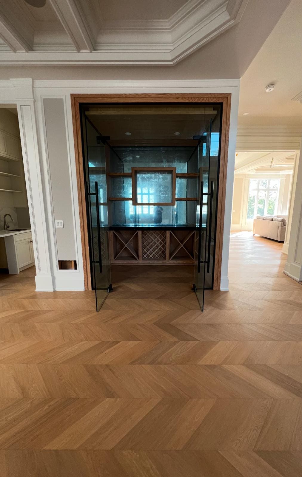 Glass doors and panels closing a wine room