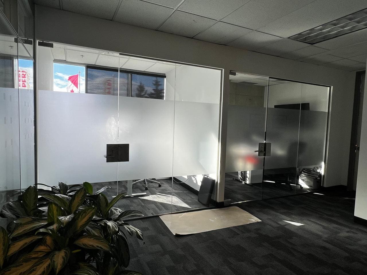 Glass offices with a frosted privacy band
