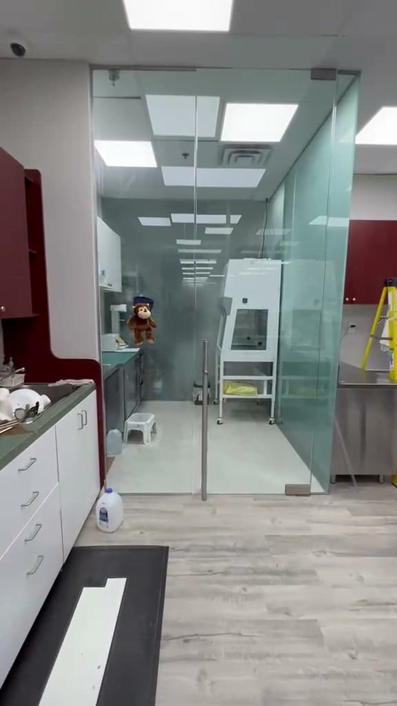 Office & Commercial Glass — filmed on site